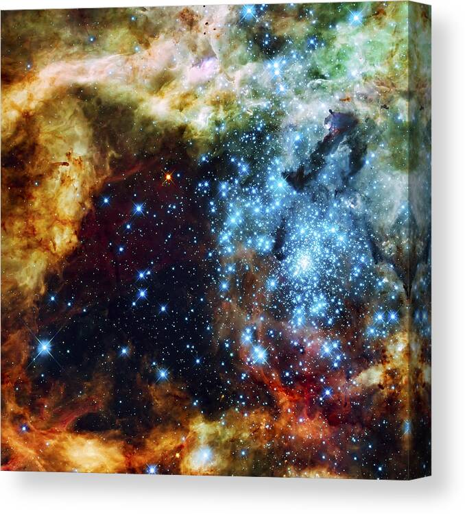 Nebula Canvas Print featuring the photograph Deep Space Fire and Ice 2 by Jennifer Rondinelli Reilly - Fine Art Photography