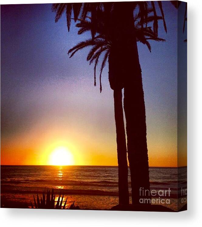 Sunset Canvas Print featuring the photograph Del Mar Days by Denise Railey