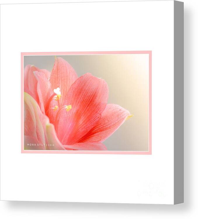 Mona Stut Canvas Print featuring the photograph Delicate Blushing Bride Lily by Mona Stut