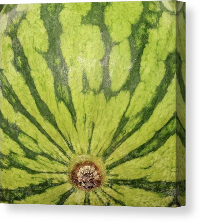 Textures Canvas Print featuring the photograph Did You Know The The Watermelon Is A by The Texturologist