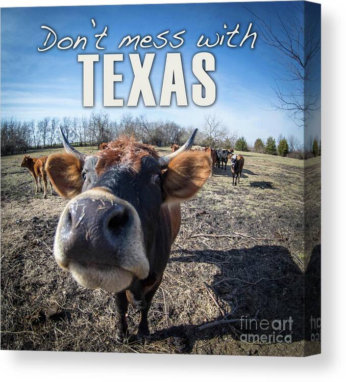 Mess Canvas Print featuring the digital art Don't Mess with Texas by Cheryl McClure