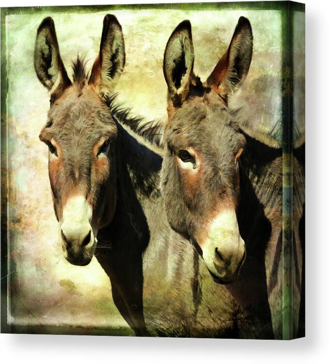 Donkeys Canvas Print featuring the photograph Double Trouble Donkeys by Athena Mckinzie