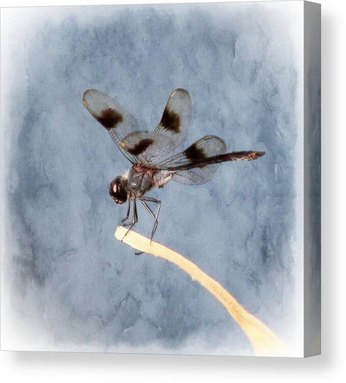 Dragonfly Canvas Print featuring the painting Dragonfly On Edge by Barbara Chichester