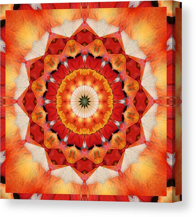 Mandalas Canvas Print featuring the photograph Dreaming by Bell And Todd