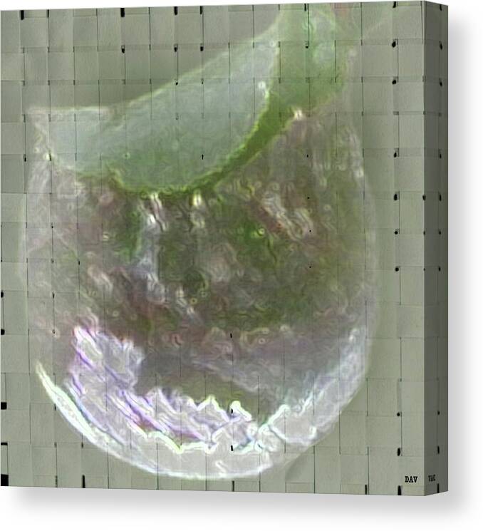 Drop Of Dew Canvas Print featuring the photograph Drop Of Dew by Debra   Vatalaro