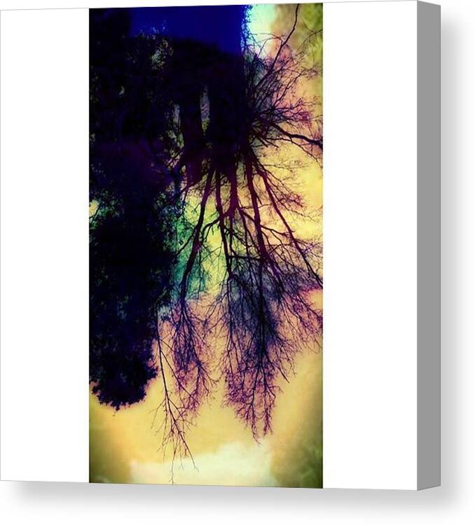 Eyes Canvas Print featuring the photograph During My Run.. This 🌳 Looked Very by Peggy Hoefner