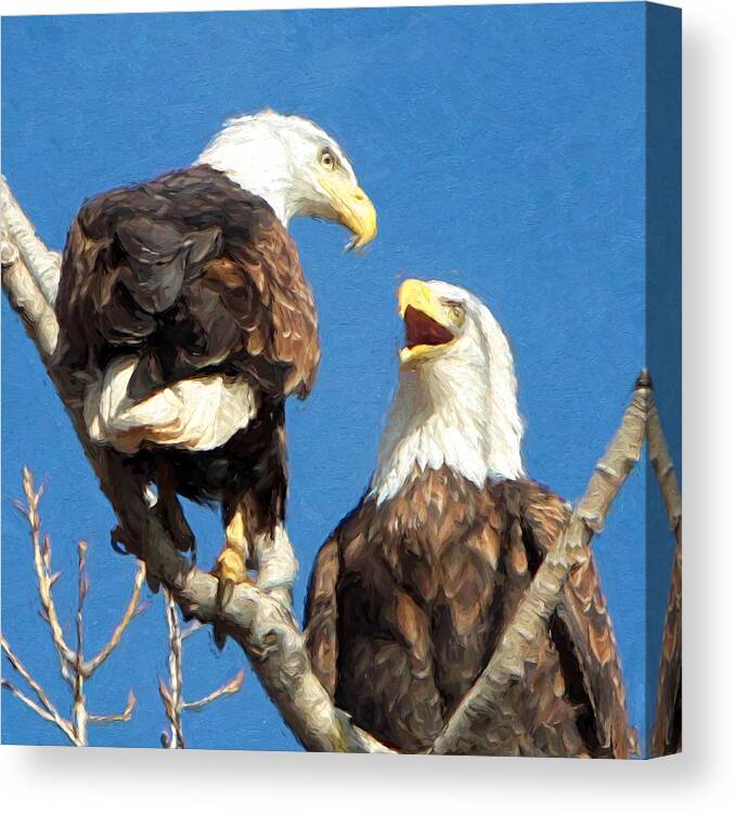 Eagles Canvas Print featuring the photograph Eagles - Grafton, Illinois by John Freidenberg