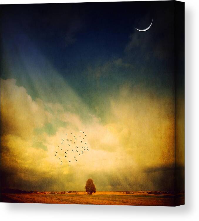 Sky Canvas Print featuring the photograph Echo Of A Sigh by Philippe Sainte-Laudy