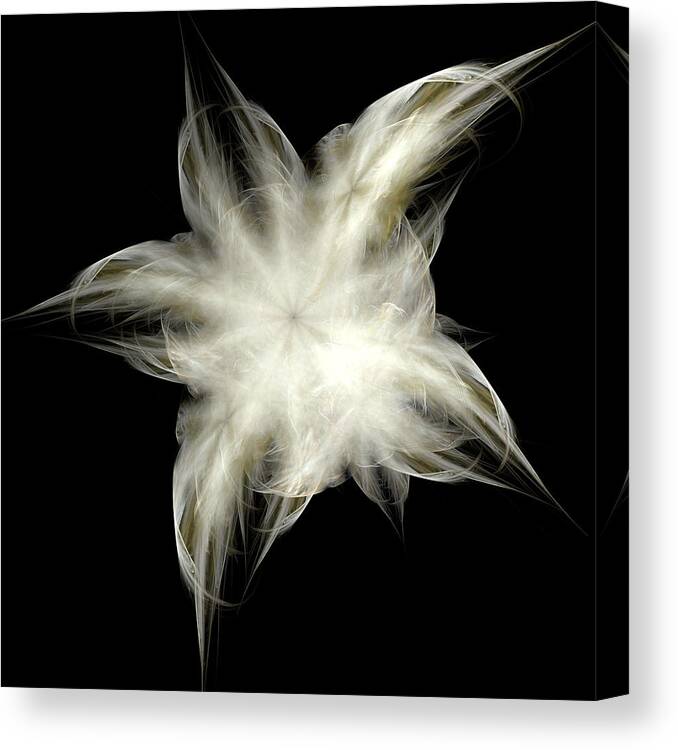 Fractal Canvas Print featuring the digital art Elegant White Feathers by Richard Ortolano