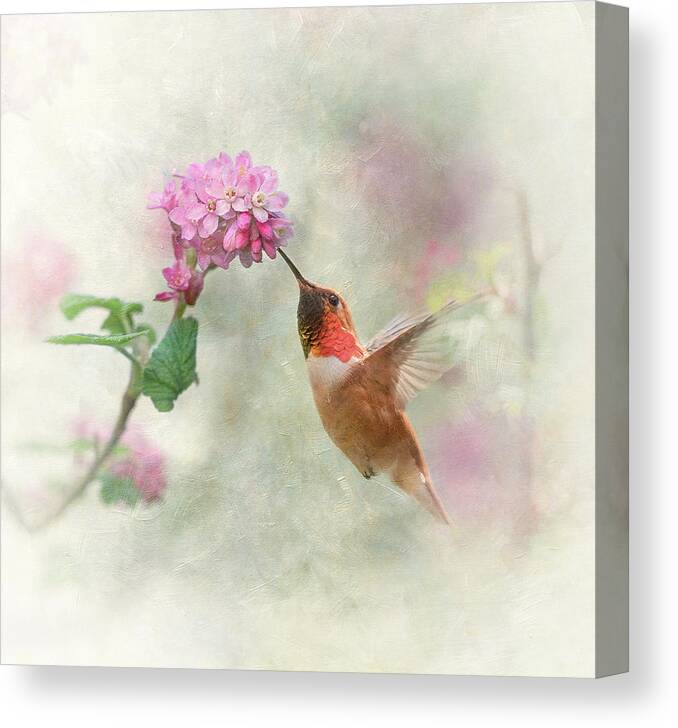Hummingbird Canvas Print featuring the photograph Enchantment in the Garden by Angie Vogel