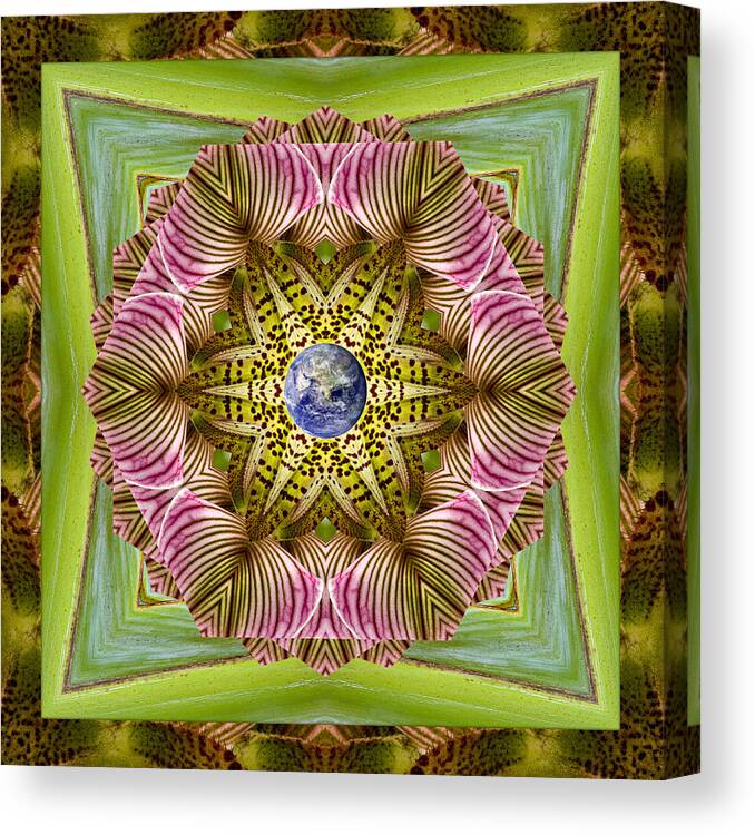 Mandalas Canvas Print featuring the photograph EpiCenter by Bell And Todd