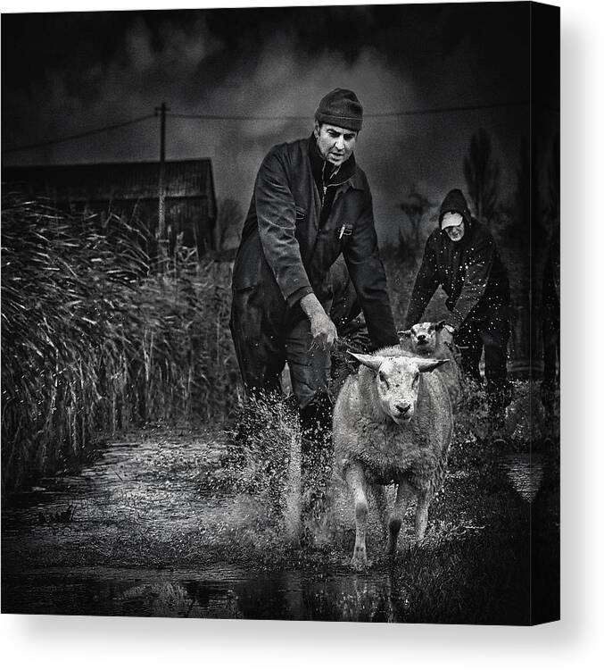 Lissewege Canvas Print featuring the photograph Escape From The Flood by Piet Flour