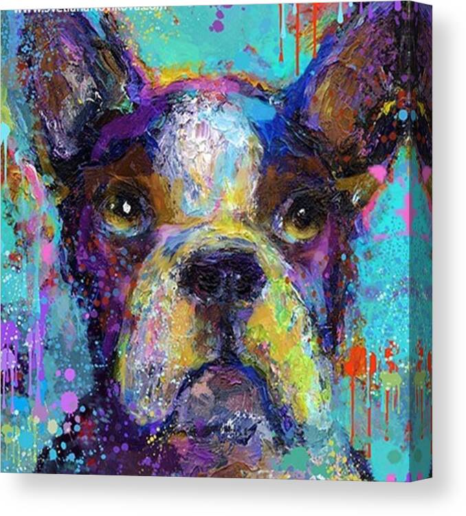 Contemporary Canvas Print featuring the photograph Expressive Boston Terrier Painting By by Svetlana Novikova