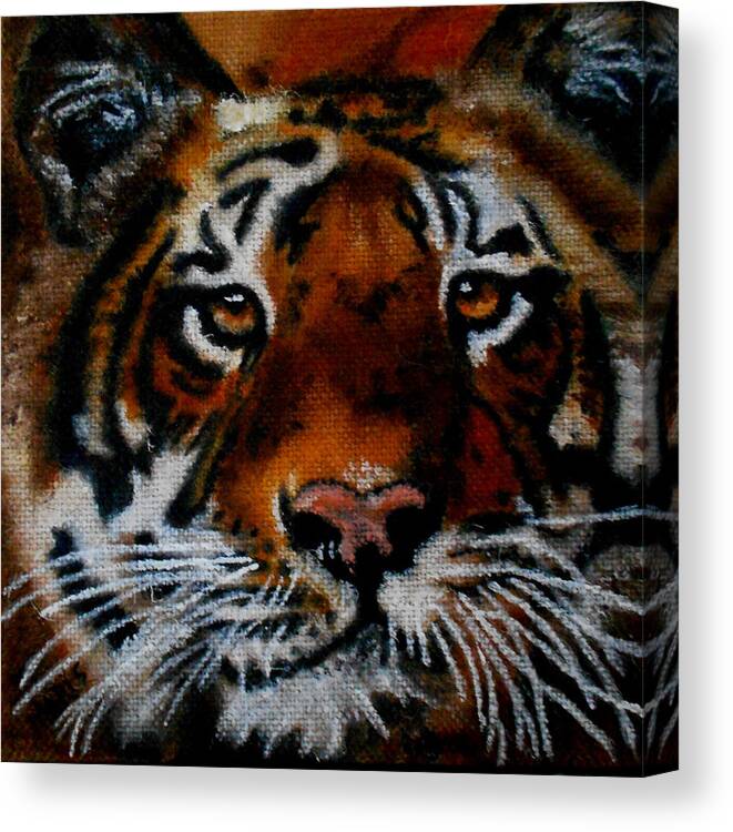 Tiger Canvas Print featuring the painting Face of a Tiger by Maris Sherwood