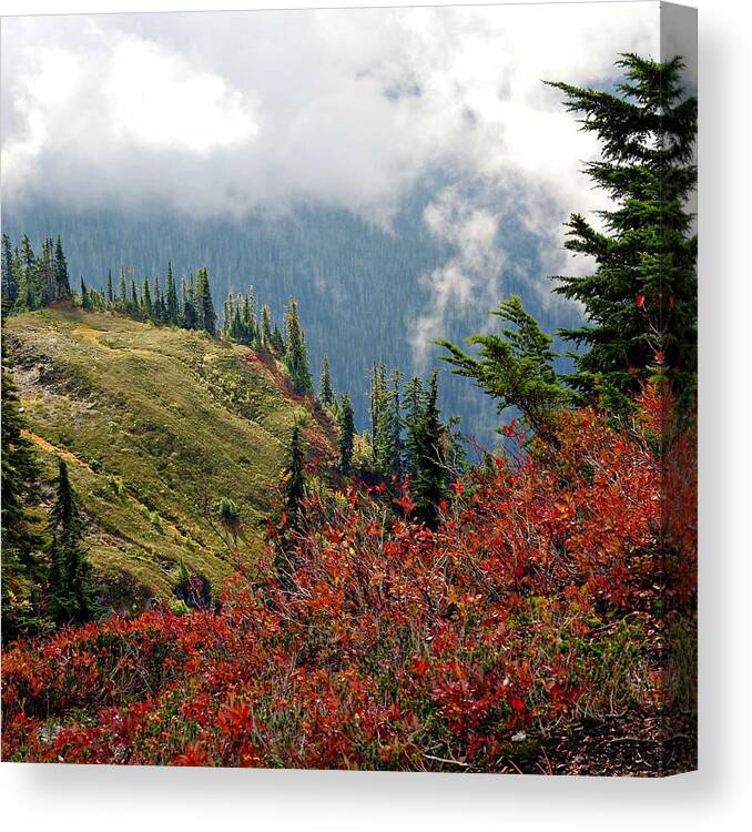 Trees Canvas Print featuring the photograph Fall at Artist's Point by Sandra Peery