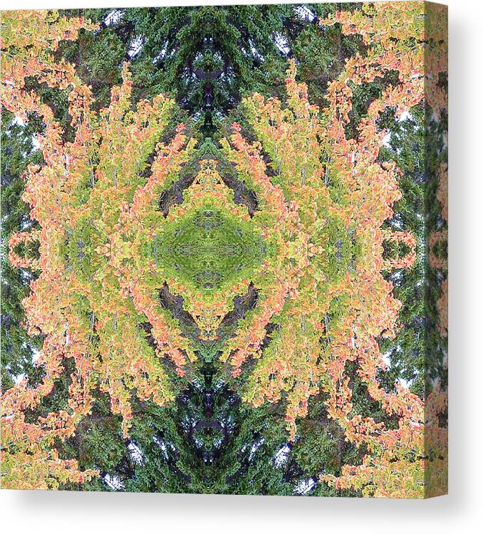 Trees Canvas Print featuring the photograph Fall Color Kaleidoscope by Bill Barber