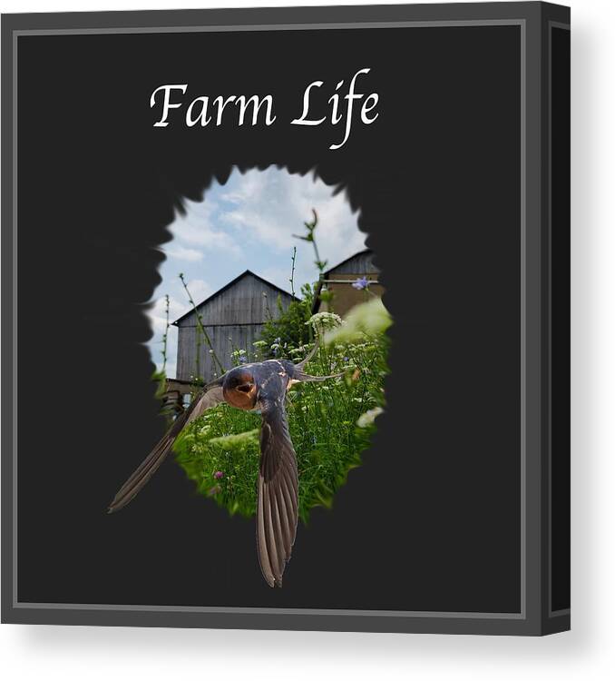 Farm Canvas Print featuring the photograph Farm Life by Holden The Moment