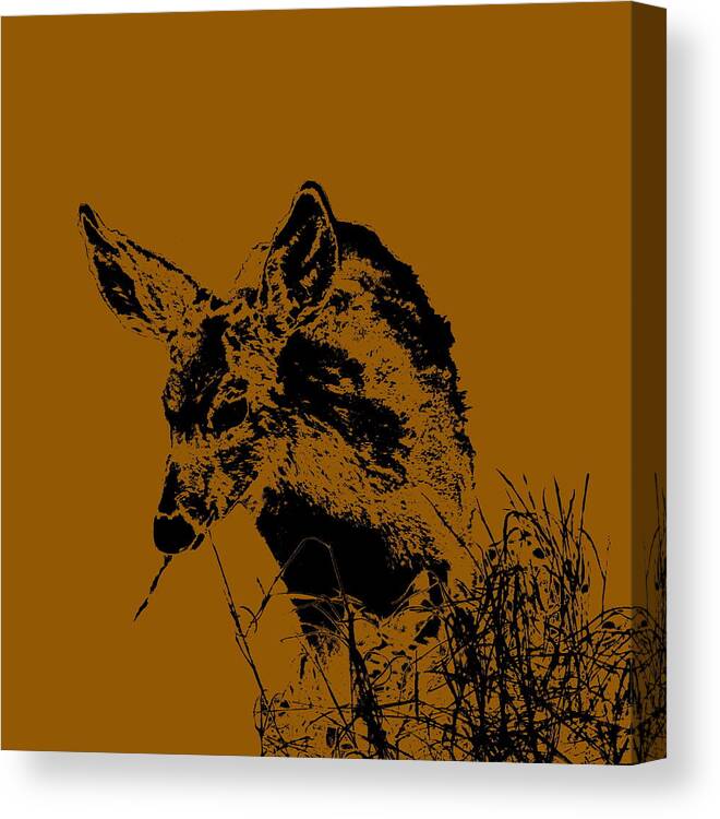 Fawn Eating Grass Canvas Print featuring the photograph Fawn Grazing in Latte Tones by Colleen Cornelius