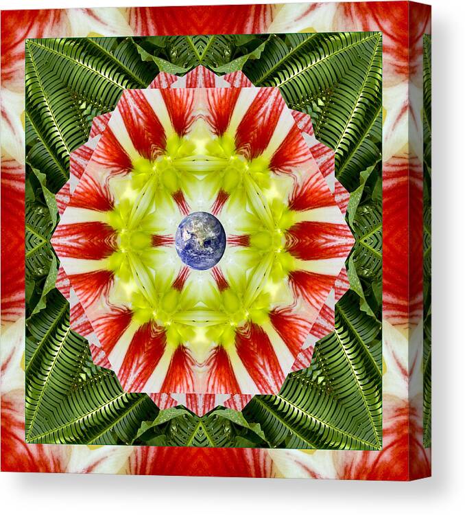 Mandalas Canvas Print featuring the photograph Festivity by Bell And Todd