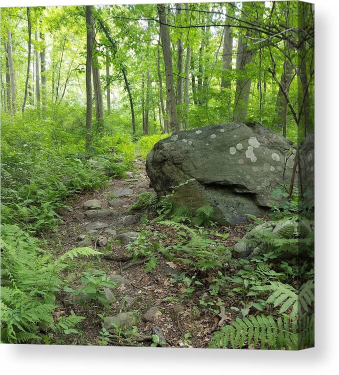 Path Canvas Print featuring the photograph Find Your Path by Vic Ritchey