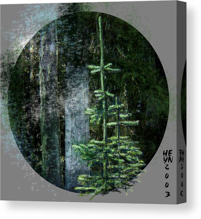 Northwest Canvas Print featuring the mixed media Fir Trees - 3 Ages by Shirley Heyn