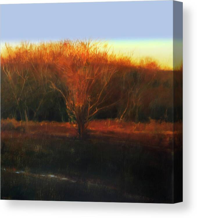  Canvas Print featuring the painting Fire Tree 2 by Cap Pannell
