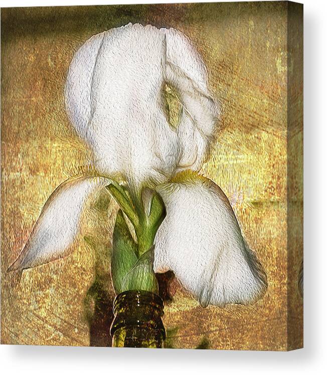 Iris Canvas Print featuring the photograph First Iris by Cynthia Wolfe