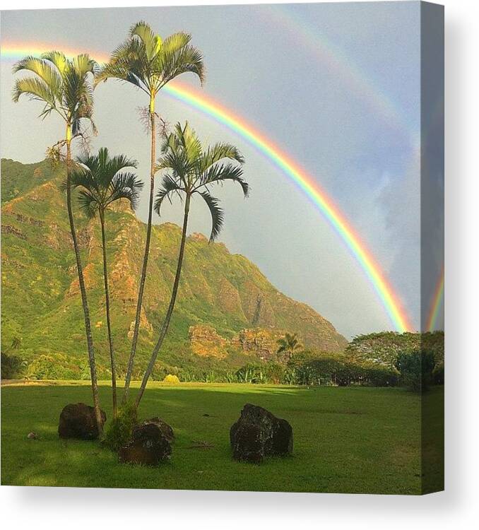 Rainbow Canvas Print featuring the photograph First Sight After A Loooong Night Of by Brian Governale