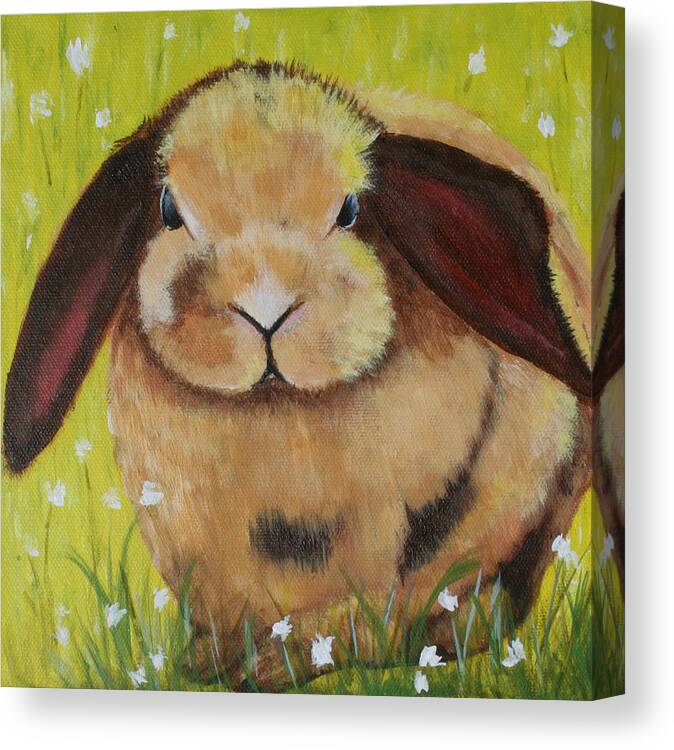 Bunny Canvas Print featuring the painting Flopped Ear Bunny by Donna Tucker