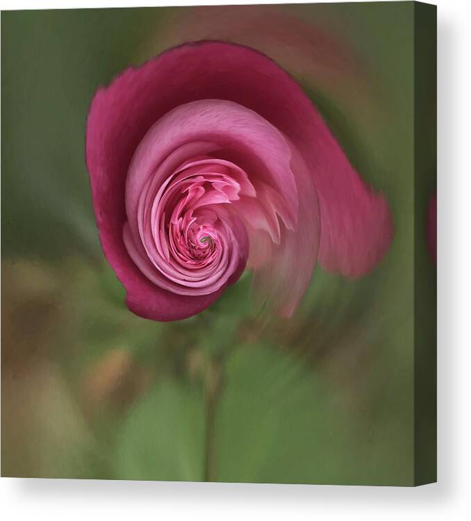 Rose Canvas Print featuring the photograph Floral fantasy 1 by Usha Peddamatham