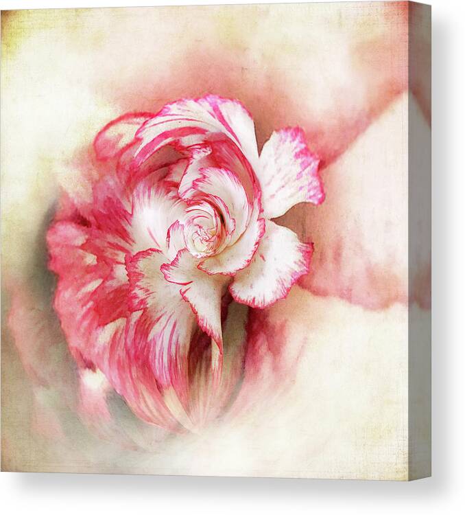 Floral Art Canvas Print featuring the photograph Floral Fantasy 2 by Usha Peddamatham