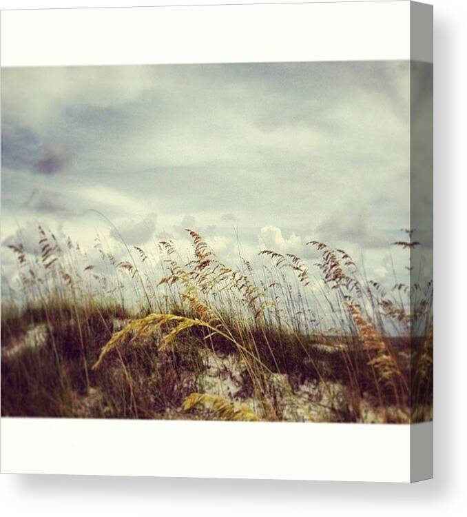 Beach Canvas Print featuring the photograph #florida #beach #sky by Joan McCool