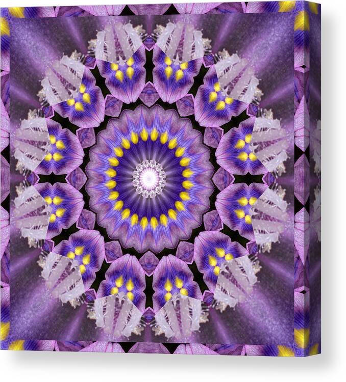 Mandalas Canvas Print featuring the photograph Flow by Bell And Todd