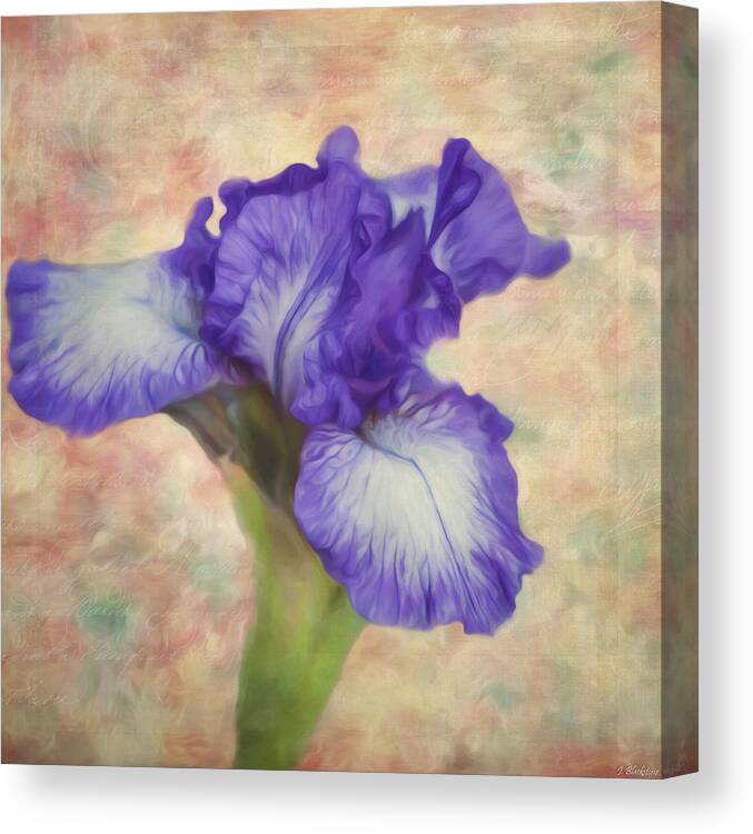 The Meaning Of An Iris Canvas Print featuring the painting Flower Art - The Meaning of an Iris by Jordan Blackstone