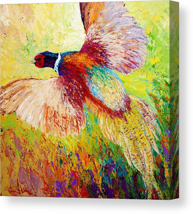 Pheasant Canvas Print featuring the painting Flushed - Pheasant by Marion Rose