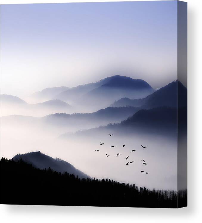 Landscape Canvas Print featuring the photograph Flying Over The Fog by Philippe Sainte-Laudy