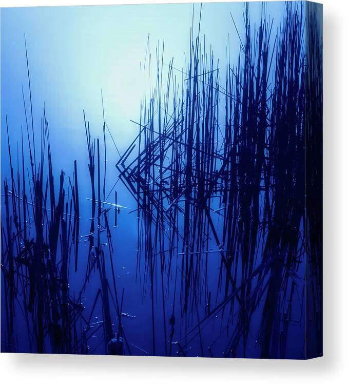 Fog Canvas Print featuring the photograph Foggy Marsh3 by John Hansen