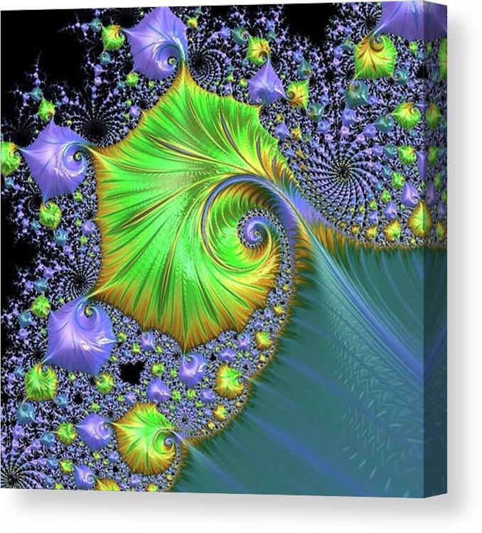 Amazingfractals Canvas Print featuring the photograph Fractals #colourful #mobarton #hobby by Mo Barton