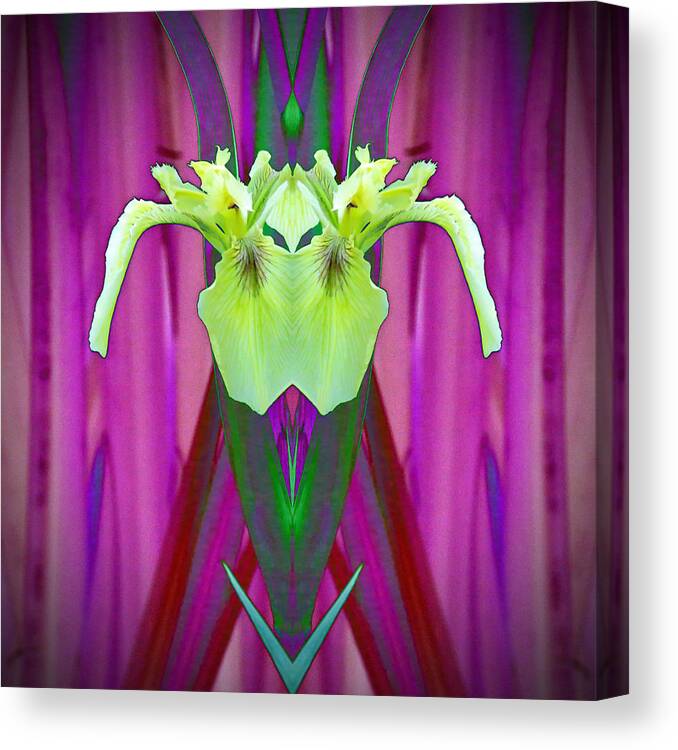 Iris Canvas Print featuring the photograph Freaky Iris by Pat Exum