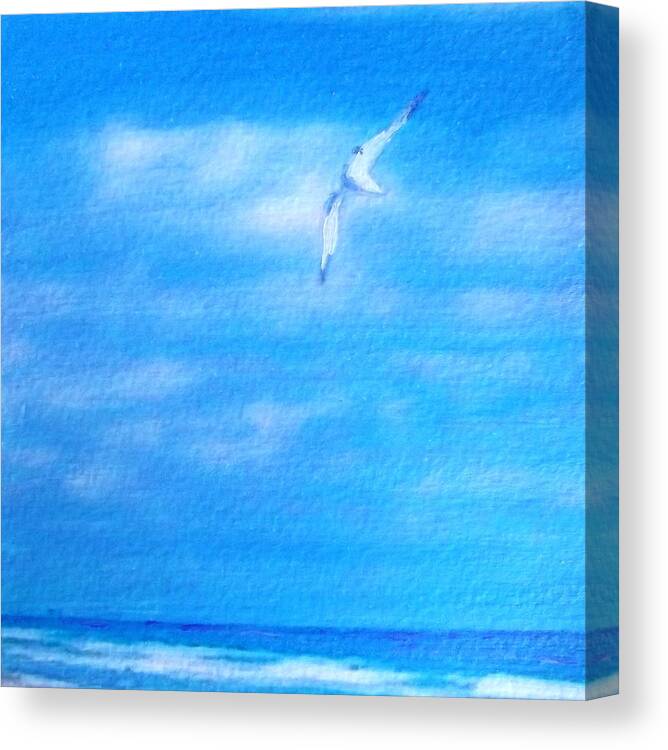 Seagull Canvas Print featuring the painting Freedom Flyer by Cara Frafjord
