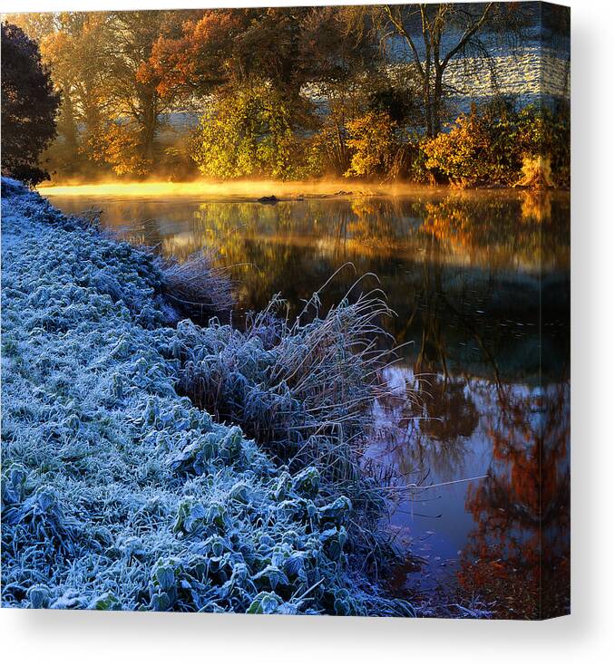 Autumn Canvas Print featuring the photograph Frosty Autumnal Tamar River by Maggie Mccall