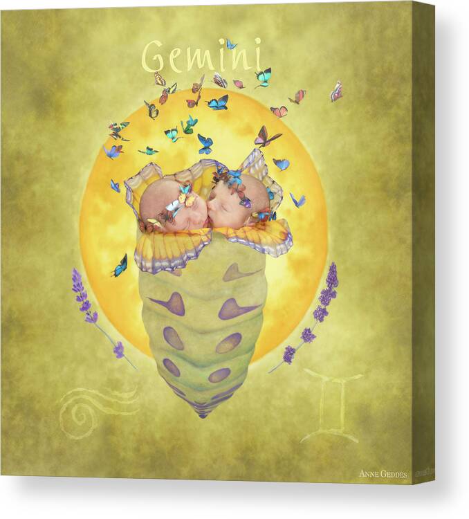Twins Canvas Print featuring the photograph Gemini by Anne Geddes