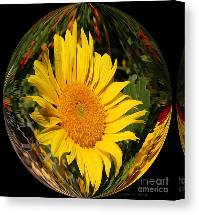 Sunflower Canvas Print featuring the photograph Geometric Sunflower by Sandra Huston