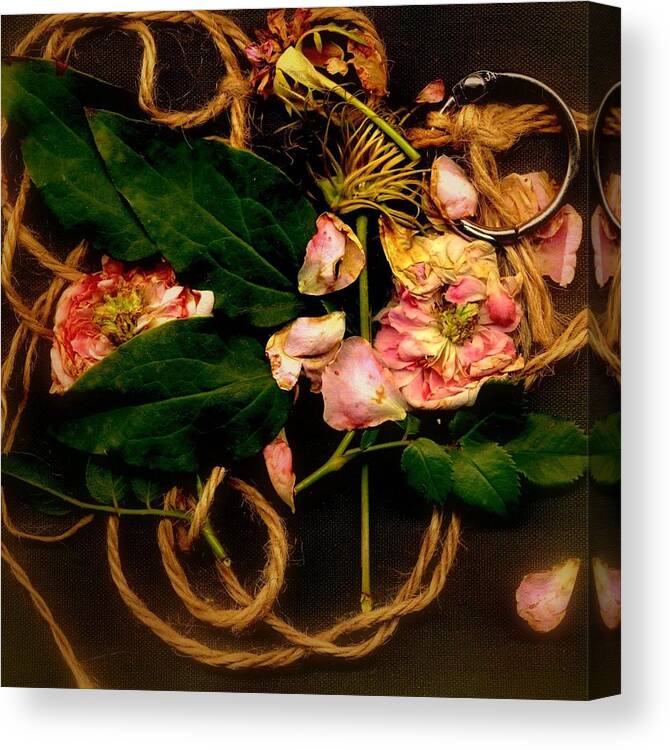 Flower Canvas Print featuring the photograph Giardino Romantico by Andrew Gillette