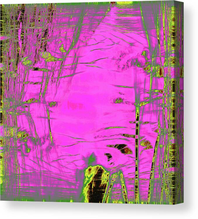 Girl From Mars Canvas Print featuring the digital art Girl From Mars by Laura Boyd