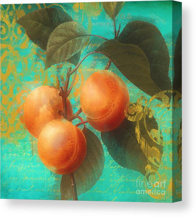 Apricots Canvas Print featuring the painting Glowing Fruits Apricots by Mindy Sommers