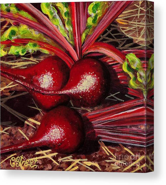 Vegetables Canvas Print featuring the painting God's Kitchen Series No 2 Beetroot by Caroline Street
