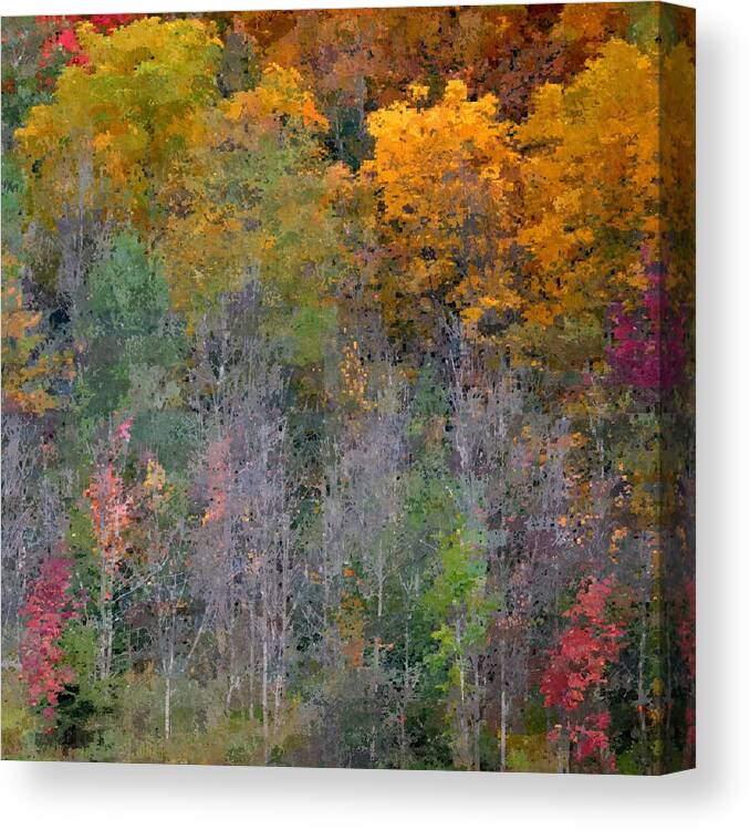Art Canvas Print featuring the photograph Gold Woods by Joan Han