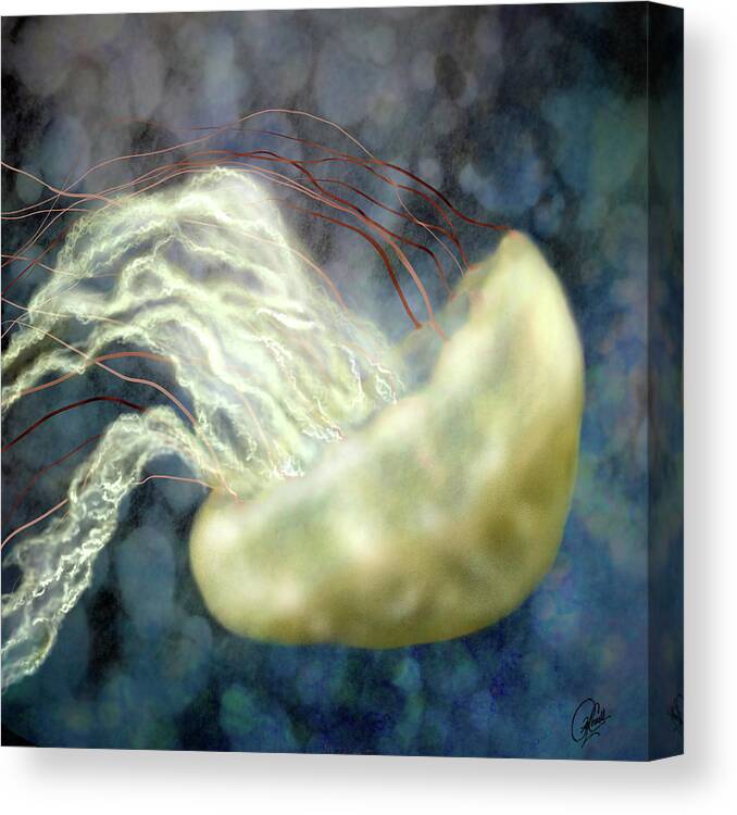 Jellyfish Canvas Print featuring the digital art Golden Light Jellyfish by Sand And Chi