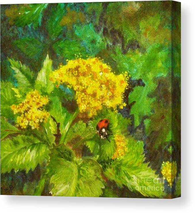 Golden Canvas Print featuring the painting Golden Summer Blooms by Nicole Angell
